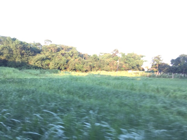 Mảnh đất đẹp 510m2 ở xã Nhuận Trạch, Huyện Lương Sơn, Tỉnh Hòa Bình bán giá rẻ, sở hữu ngay