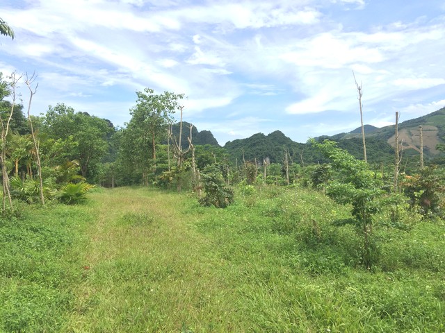 Bán mảnh đất 2 hecta ( 20.041m2) siêu đẹp tại Lương Sơn-Hòa Bình để xây nghỉ dưỡng