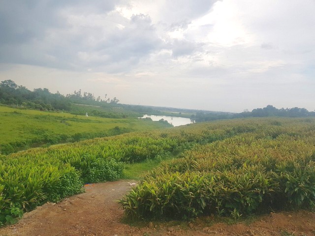 Mảnh đất rộng gần 20 hecta (19.800m2) ở Xã Thành Lập, Huyện Lương Sơn, Hòa Bình bán giá rẻ