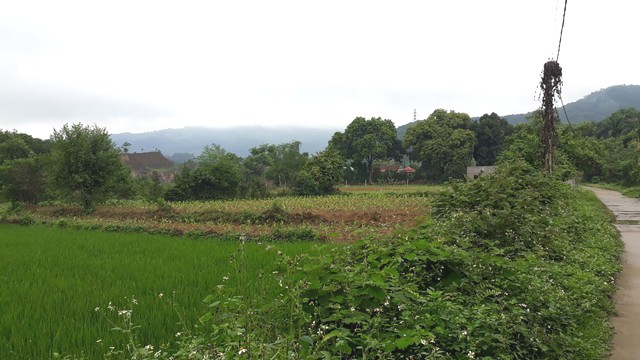 Mảnh đất đẹp chào bán ở Xã Hòa Sơn, Huyện Lương Sơn-Tỉnh Hòa Bình rộng 1532 m2 giá rẻ