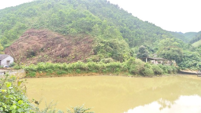Chuyển nhượng mảnh đất 4.2 Hecta đất rừng sản xuất ở Lương Sơn-Hòa Bình giá rẻ