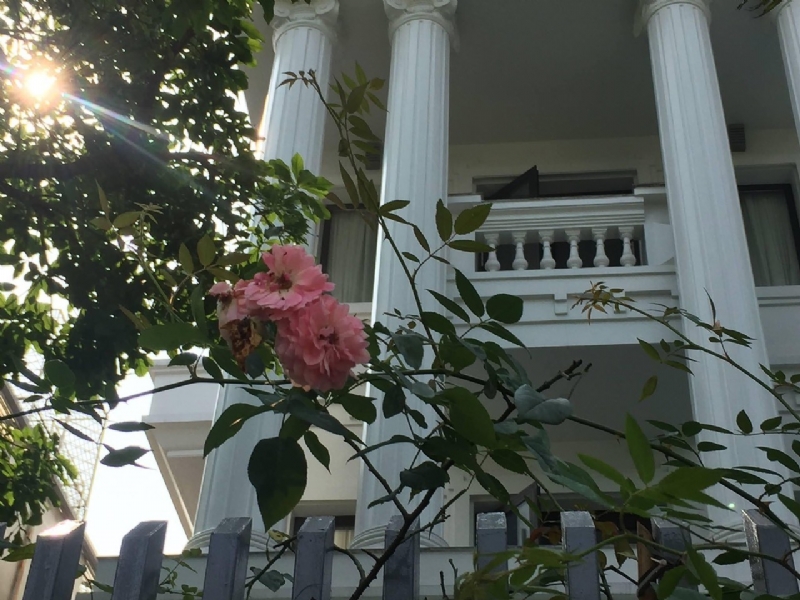 image00008